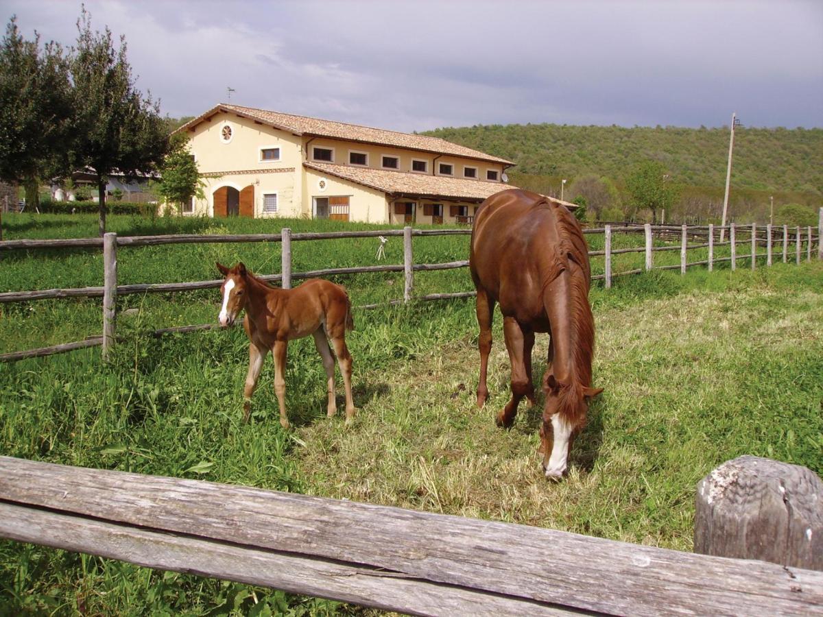 Agriturismo Potrero Grande Campagnano Di Roma Exterior foto